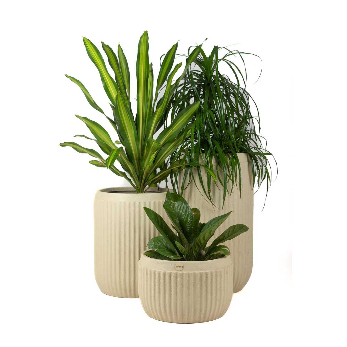 Wally Planter Circular